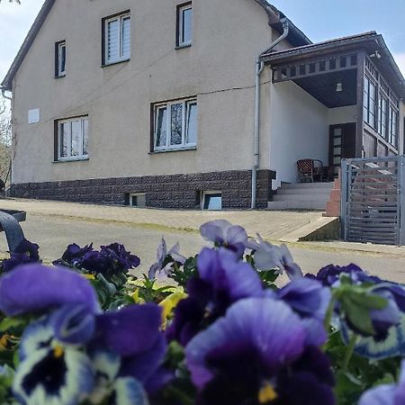 Agroturystyka Nad Bobrem Villa Pilchowice Exterior photo