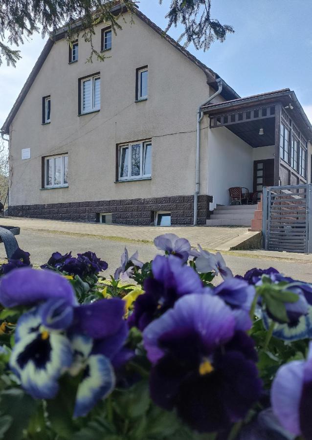 Agroturystyka Nad Bobrem Villa Pilchowice Exterior photo